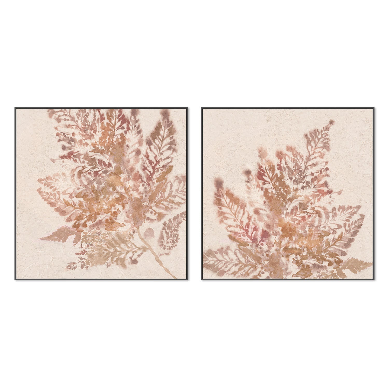 wall-art-print-canvas-poster-framed-Coral Fern, Style A & B, Set Of 2 , By Alex Black-3