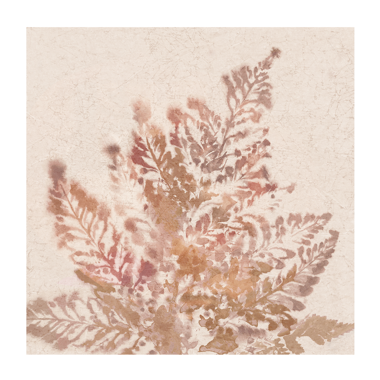 wall-art-print-canvas-poster-framed-Coral Fern, Style A , By Alex Black-1