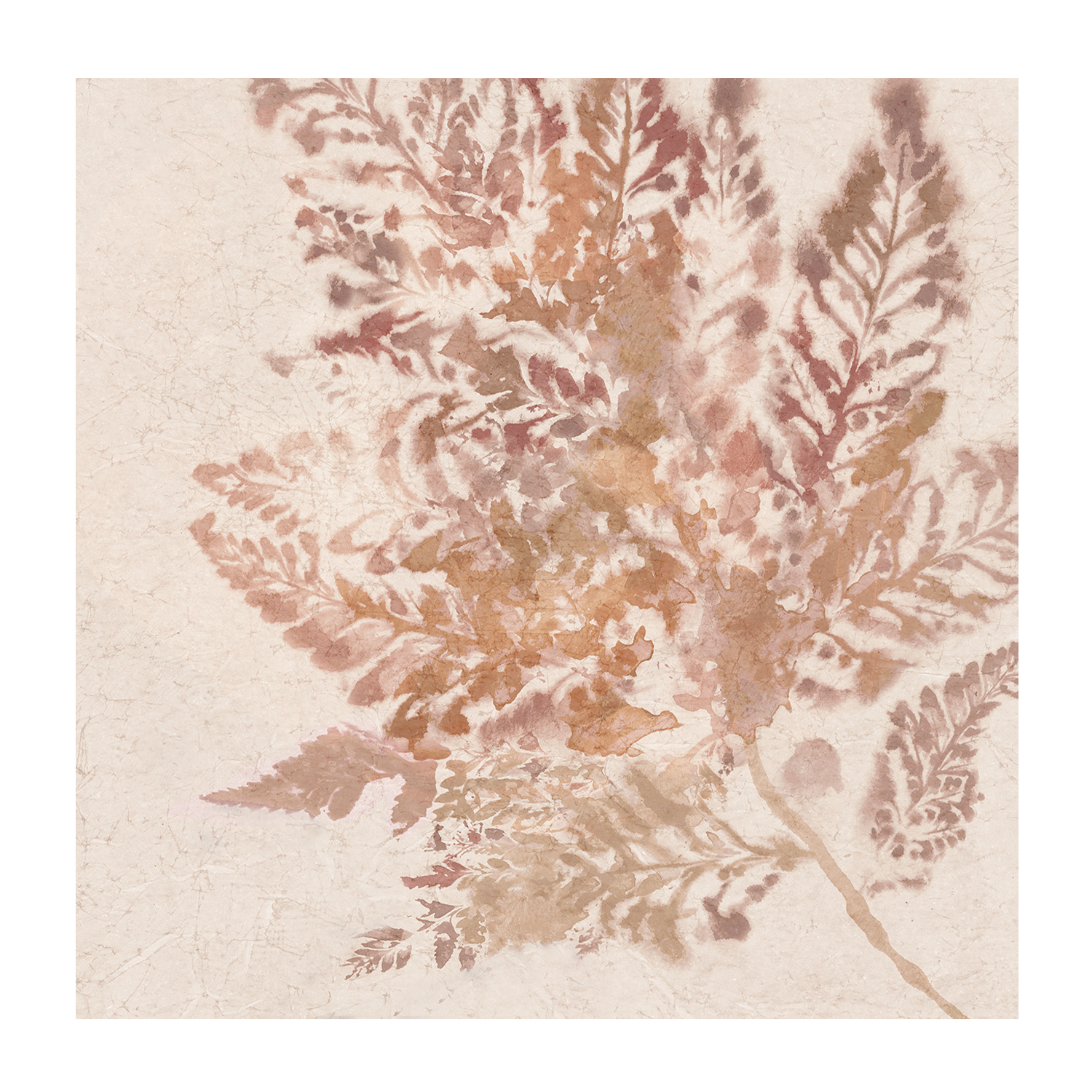 wall-art-print-canvas-poster-framed-Coral Fern, Style B , By Alex Black-1
