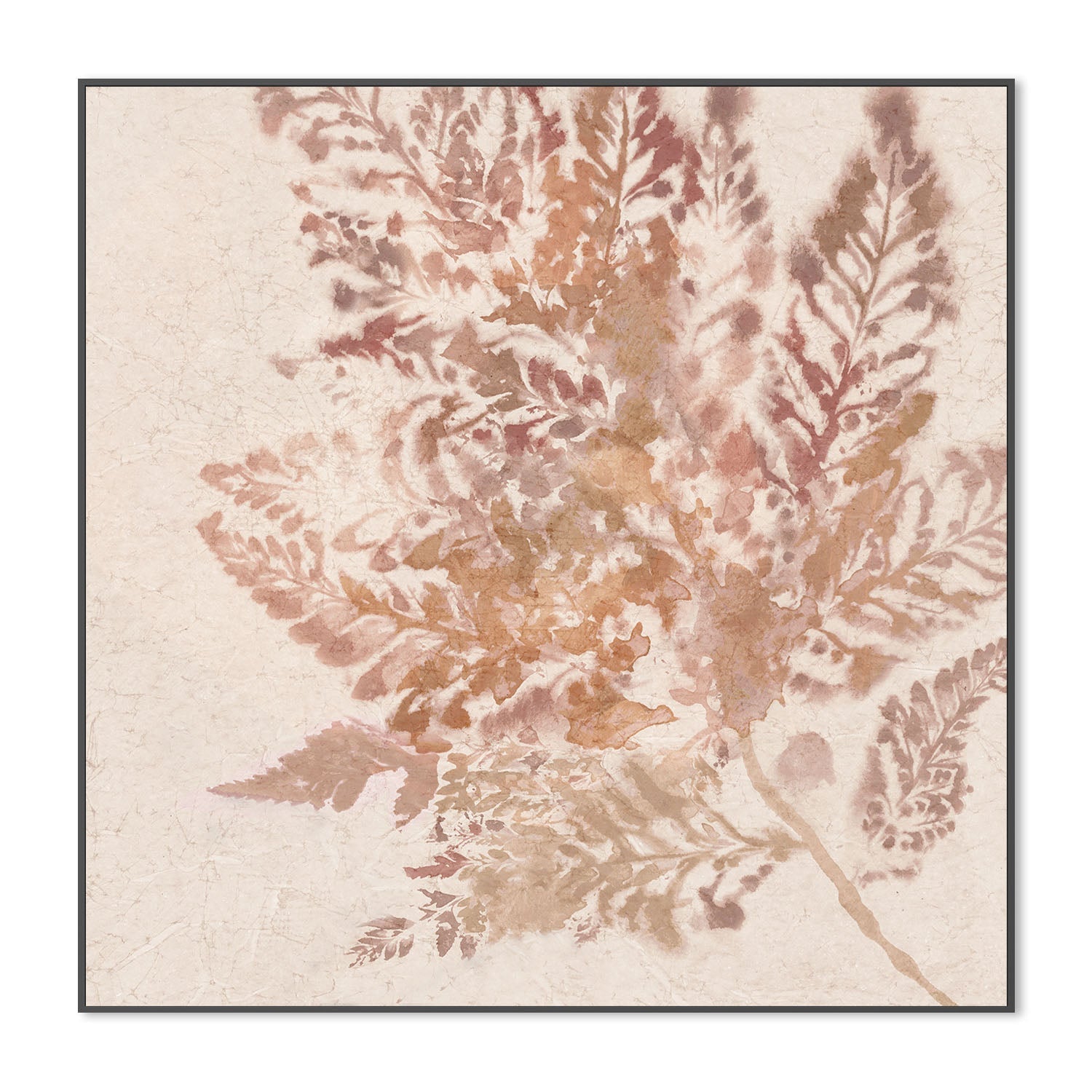 wall-art-print-canvas-poster-framed-Coral Fern, Style B , By Alex Black-3