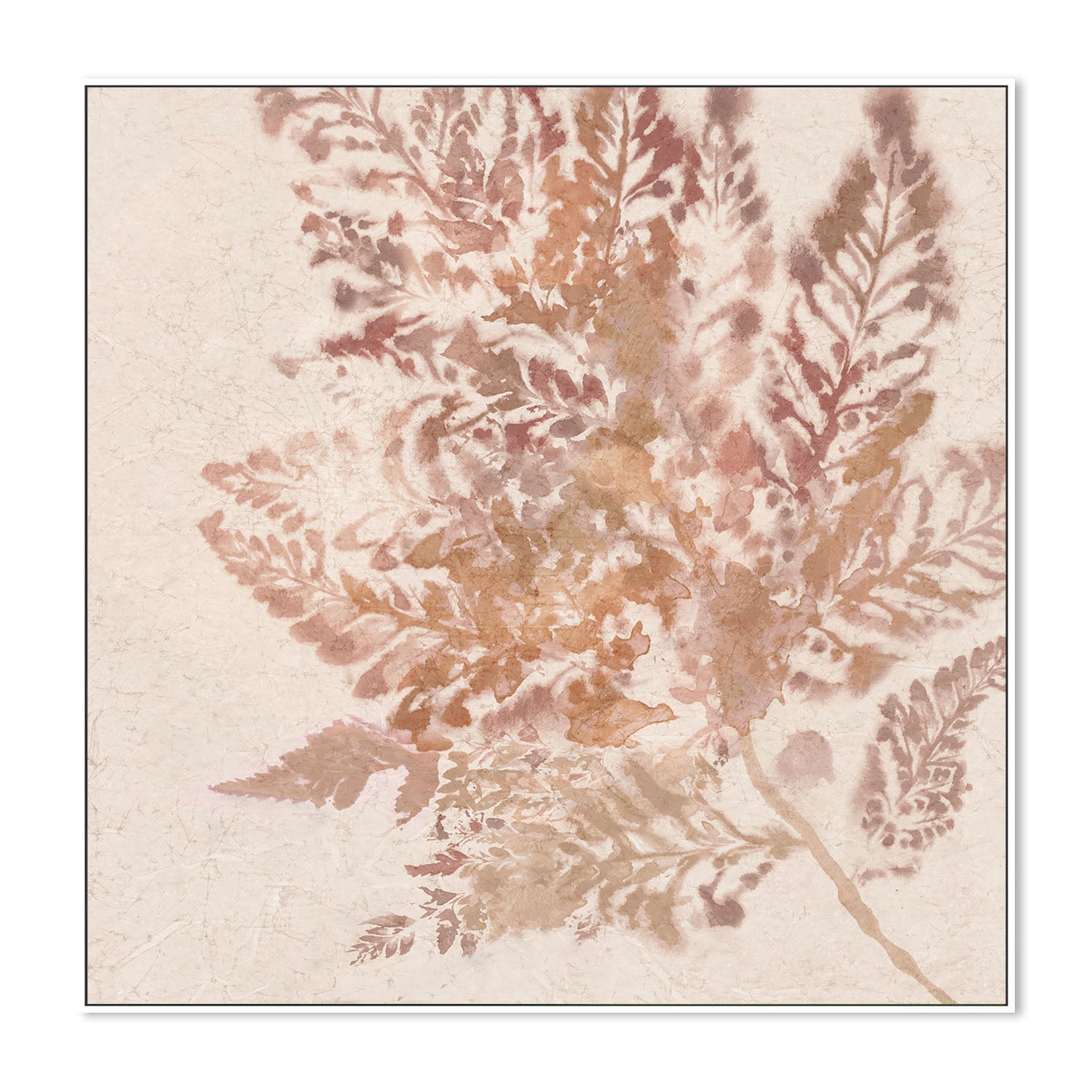 wall-art-print-canvas-poster-framed-Coral Fern, Style B , By Alex Black-5