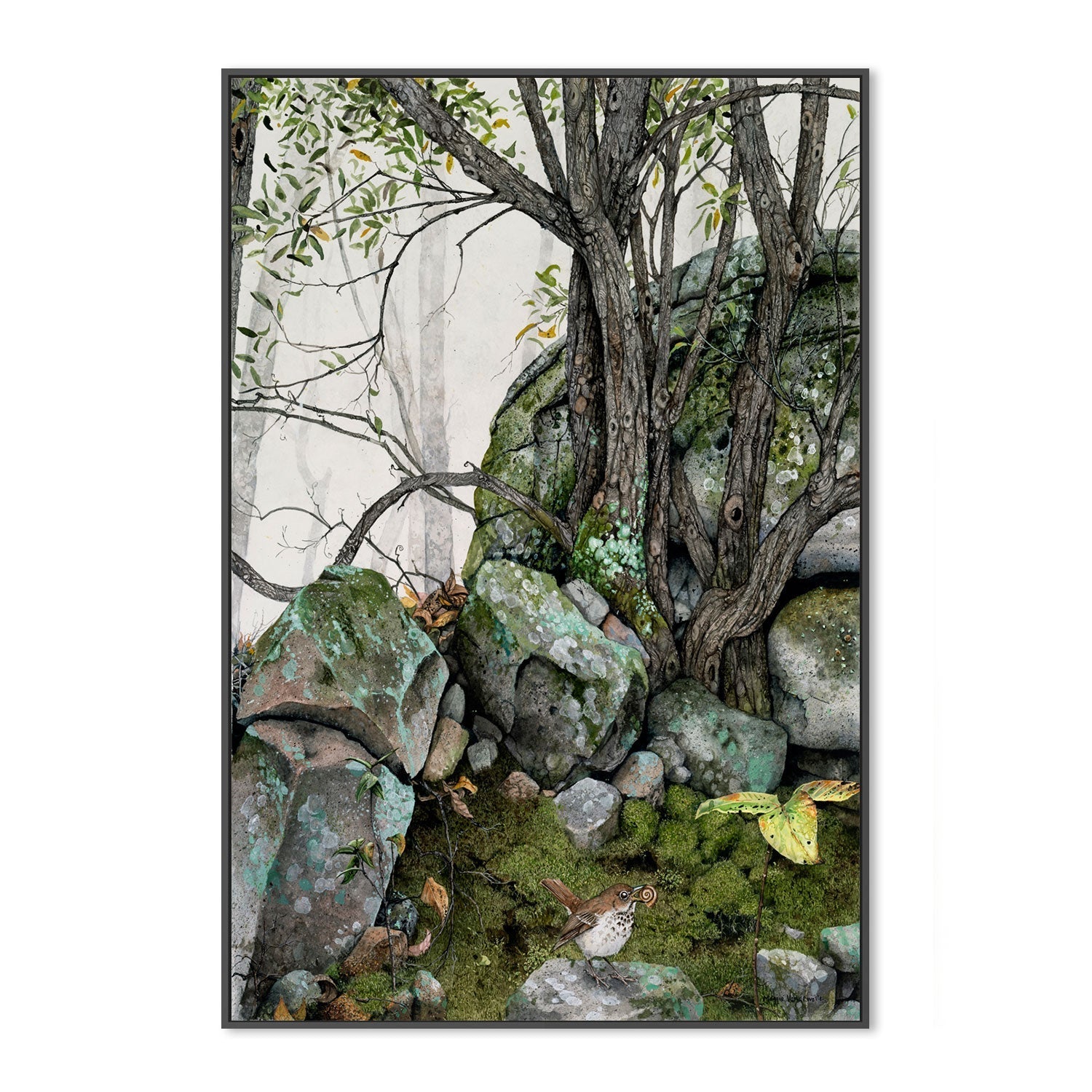 wall-art-print-canvas-poster-framed-Crannies , By Maggie Vandewalle-GIOIA-WALL-ART