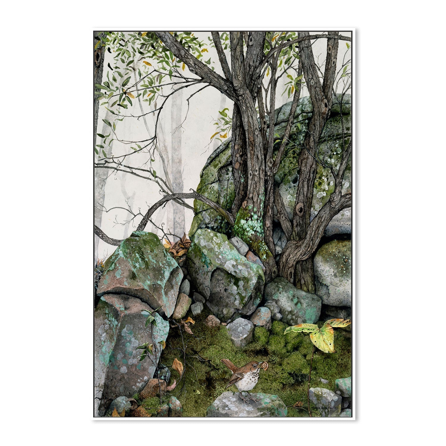 wall-art-print-canvas-poster-framed-Crannies , By Maggie Vandewalle-GIOIA-WALL-ART