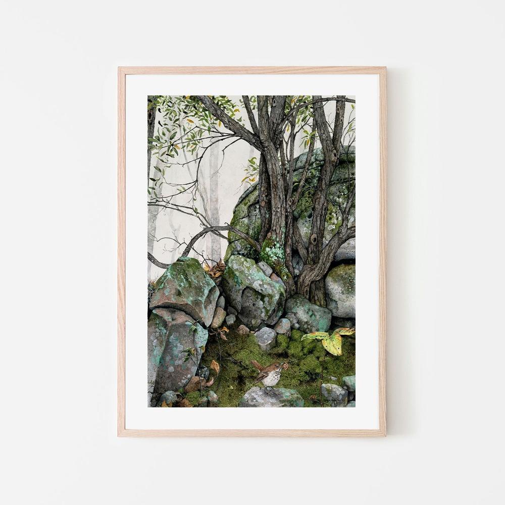wall-art-print-canvas-poster-framed-Crannies , By Maggie Vandewalle-GIOIA-WALL-ART