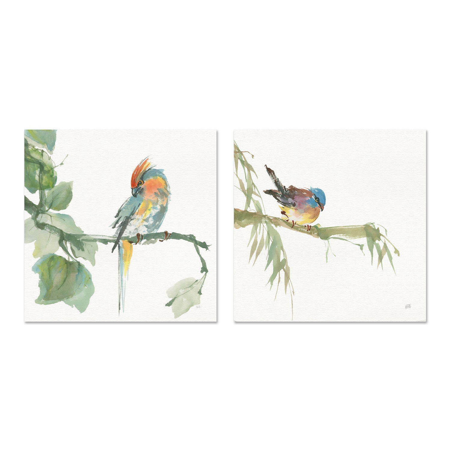 wall-art-print-canvas-poster-framed-Crested Cockatoo And Finch, Set Of 2 , By Chris Paschke-GIOIA-WALL-ART