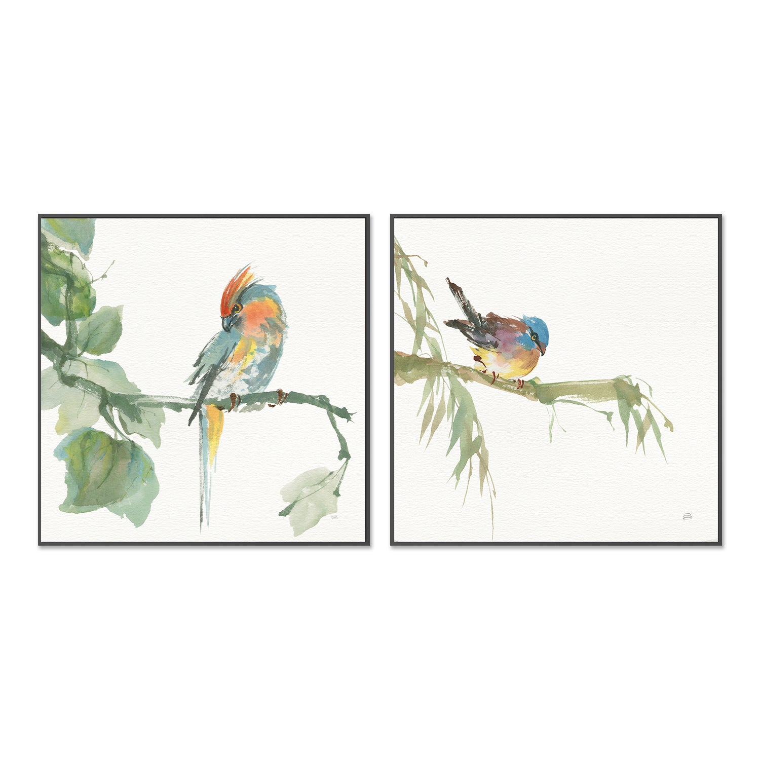 wall-art-print-canvas-poster-framed-Crested Cockatoo And Finch, Set Of 2 , By Chris Paschke-GIOIA-WALL-ART