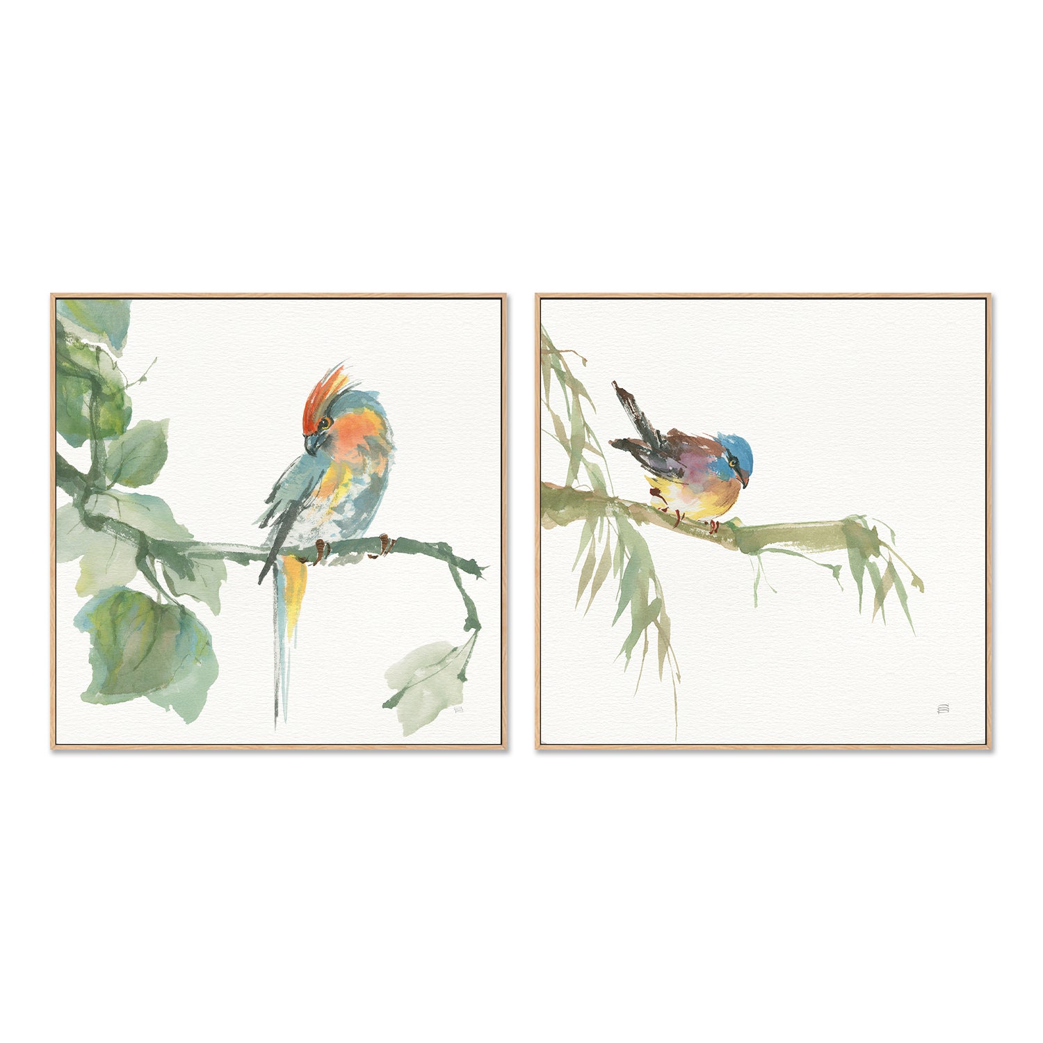 wall-art-print-canvas-poster-framed-Crested Cockatoo And Finch, Set Of 2 , By Chris Paschke-GIOIA-WALL-ART