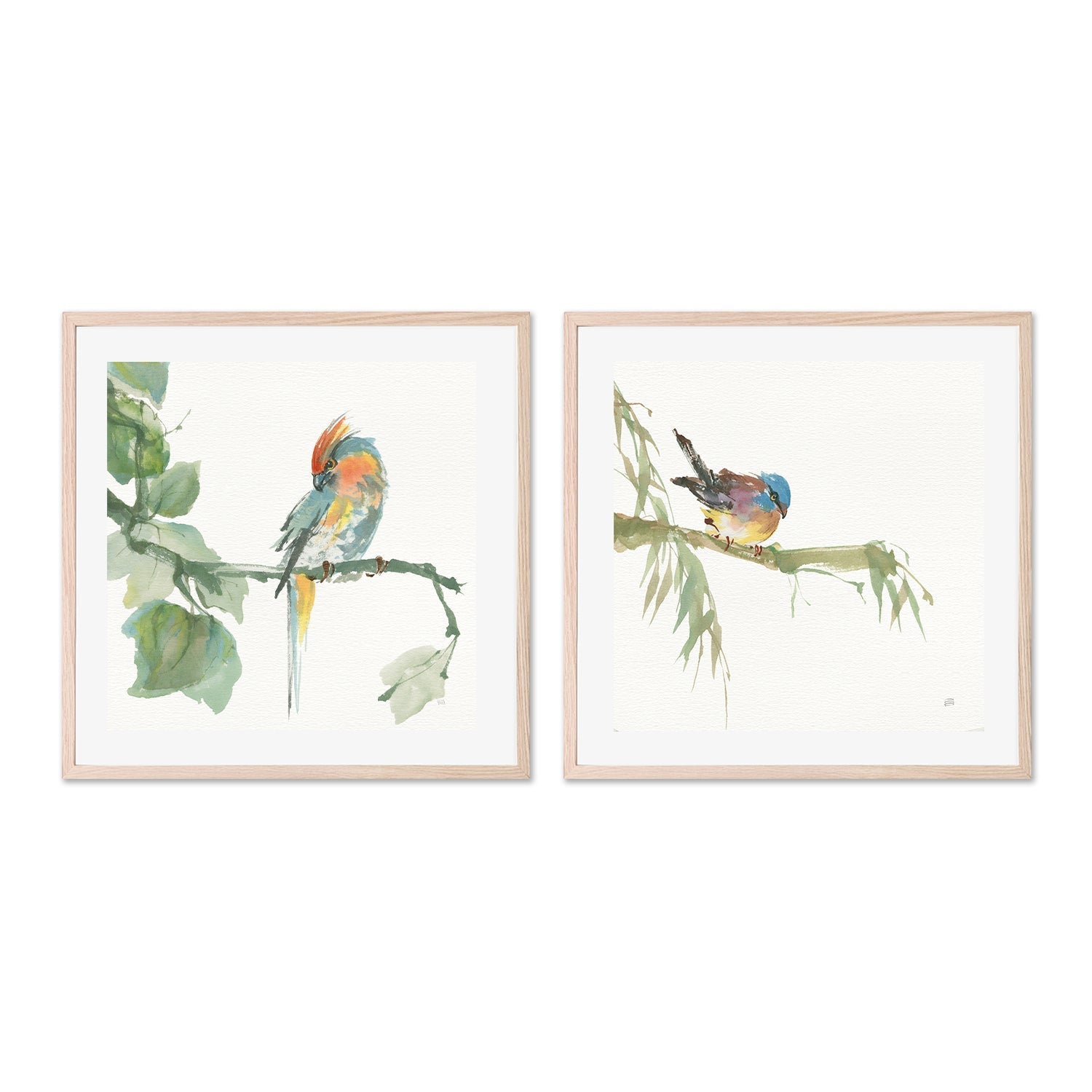 wall-art-print-canvas-poster-framed-Crested Cockatoo And Finch, Set Of 2 , By Chris Paschke-GIOIA-WALL-ART