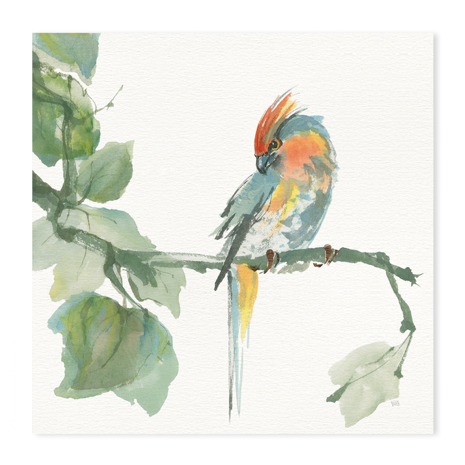 wall-art-print-canvas-poster-framed-Crested Cockatoo And Finch, Set Of 2 , By Chris Paschke-GIOIA-WALL-ART