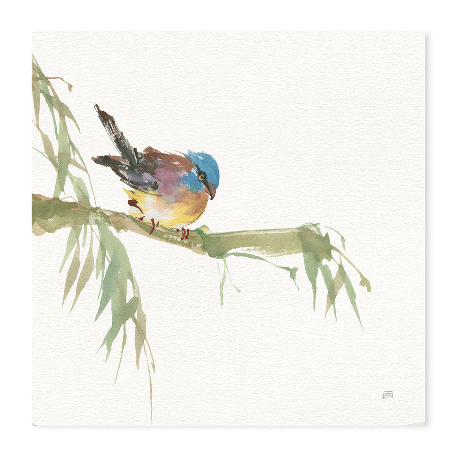 wall-art-print-canvas-poster-framed-Crested Cockatoo And Finch, Set Of 2 , By Chris Paschke-GIOIA-WALL-ART