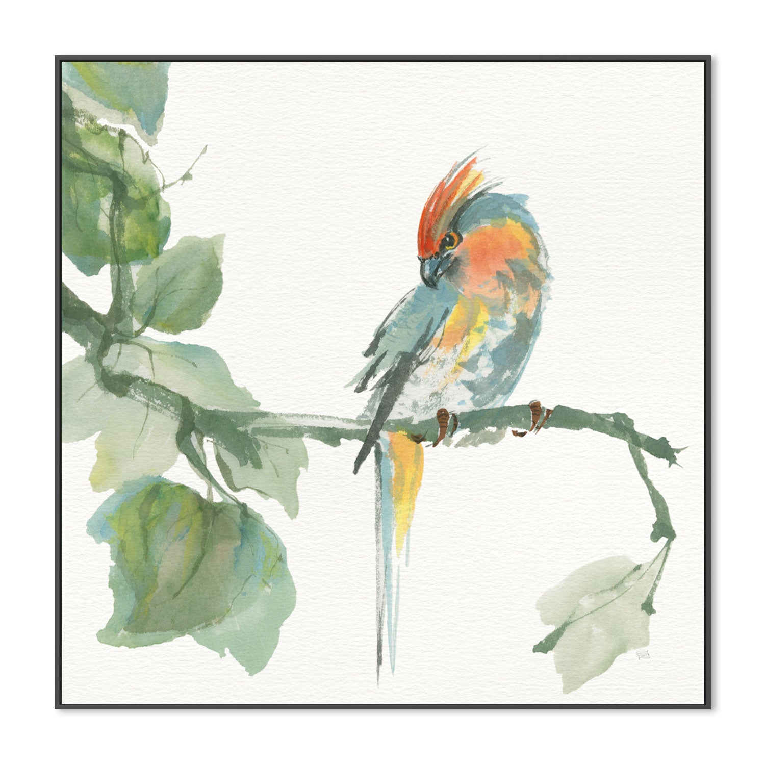 wall-art-print-canvas-poster-framed-Crested Cockatoo , By Chris Paschke-GIOIA-WALL-ART