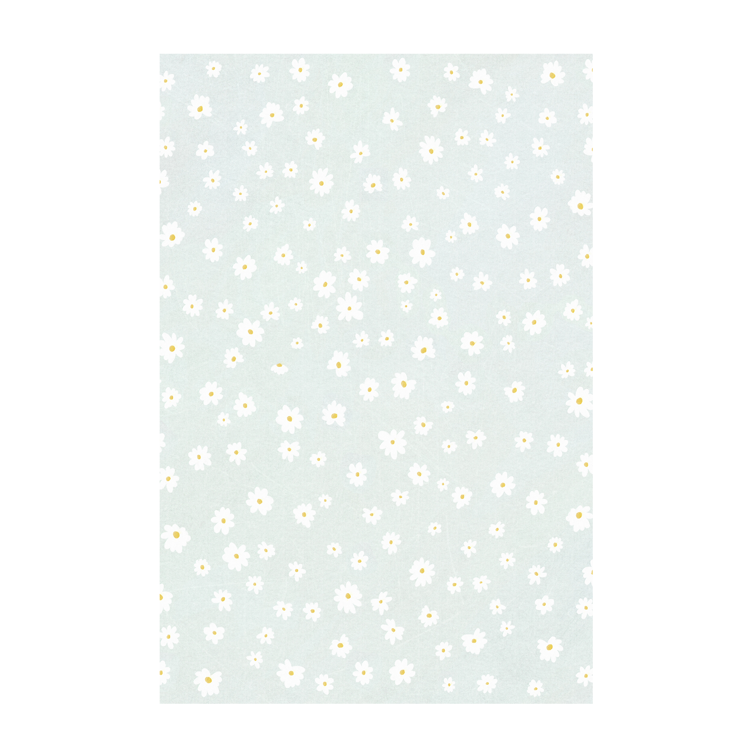 wall-art-print-canvas-poster-framed-Daisies in the Garden , By Leah Straatsma-1