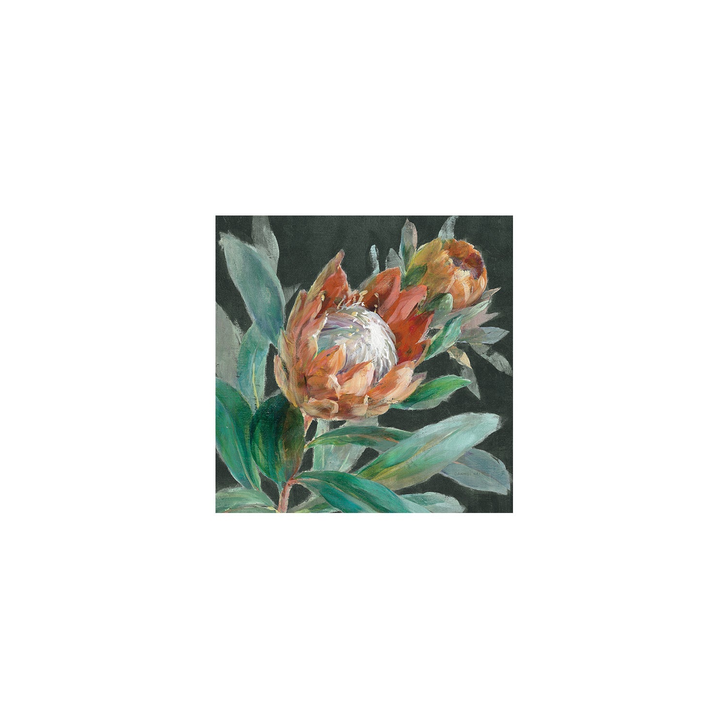 wall-art-print-canvas-poster-framed-Deep Tropical Protea Crop , By Danhui Nai-1