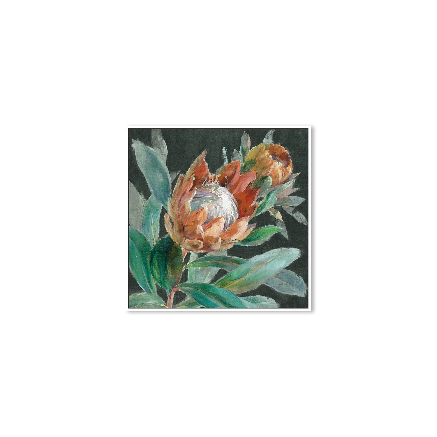 wall-art-print-canvas-poster-framed-Deep Tropical Protea Crop , By Danhui Nai-5