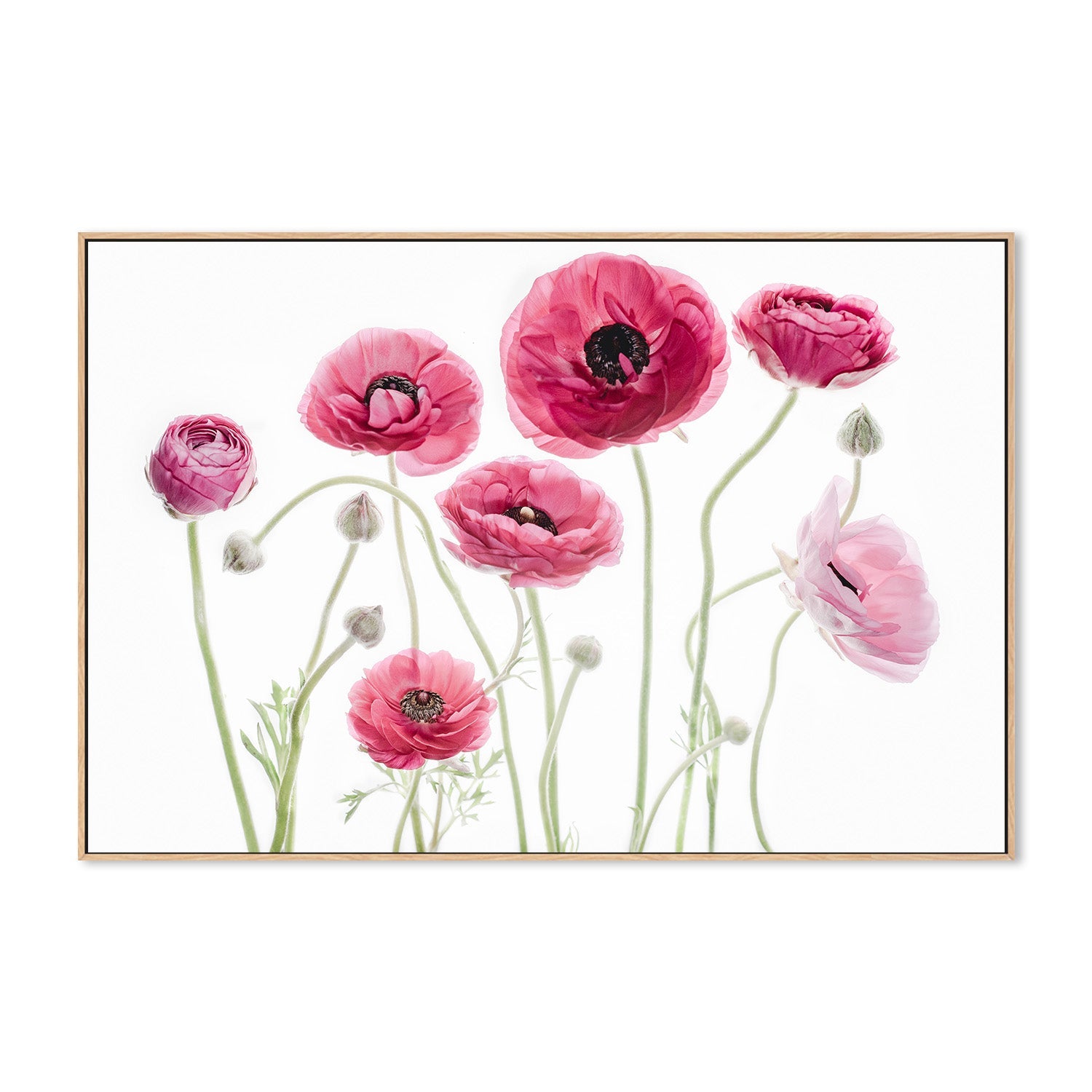 wall-art-print-canvas-poster-framed-Delicate Arrangement-4