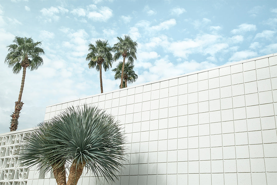 wall-art-print-canvas-poster-framed-Desert Wall , By Tricia Brennan-1