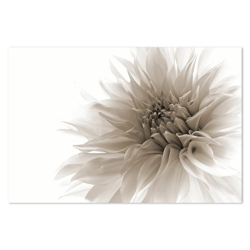 wall-art-print-canvas-poster-framed-Dignified, By Priska Wettstein-by-Plus X Studio-Gioia Wall Art