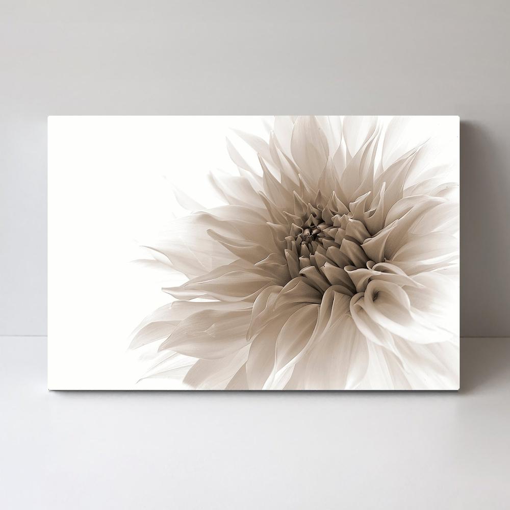 wall-art-print-canvas-poster-framed-Dignified, By Priska Wettstein-by-Plus X Studio-Gioia Wall Art