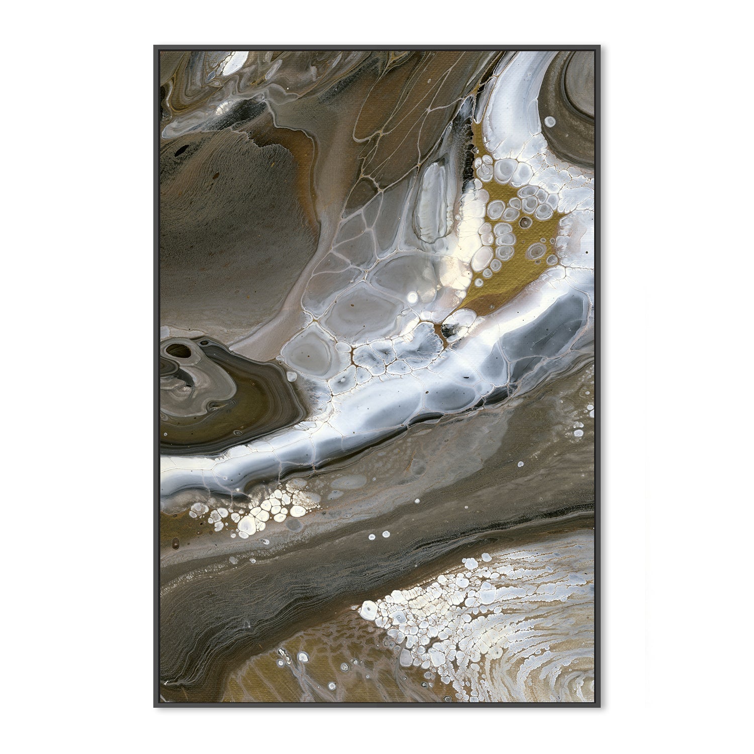 wall-art-print-canvas-poster-framed-Down To Earth , Style B, By Cathy Anderson , By Cathy Anderson-3