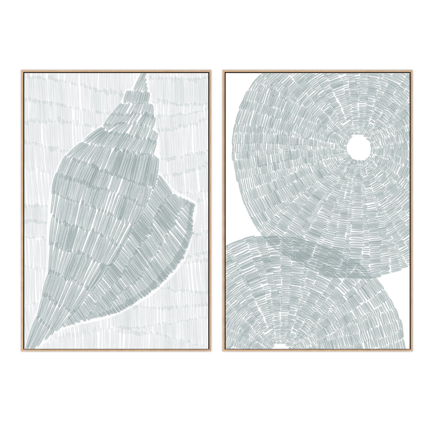 wall-art-print-canvas-poster-framed-Drifted Conch Shell-Salty Sea Urchin shell , Set Of 2, By Jetty Home , By Jetty Home-4