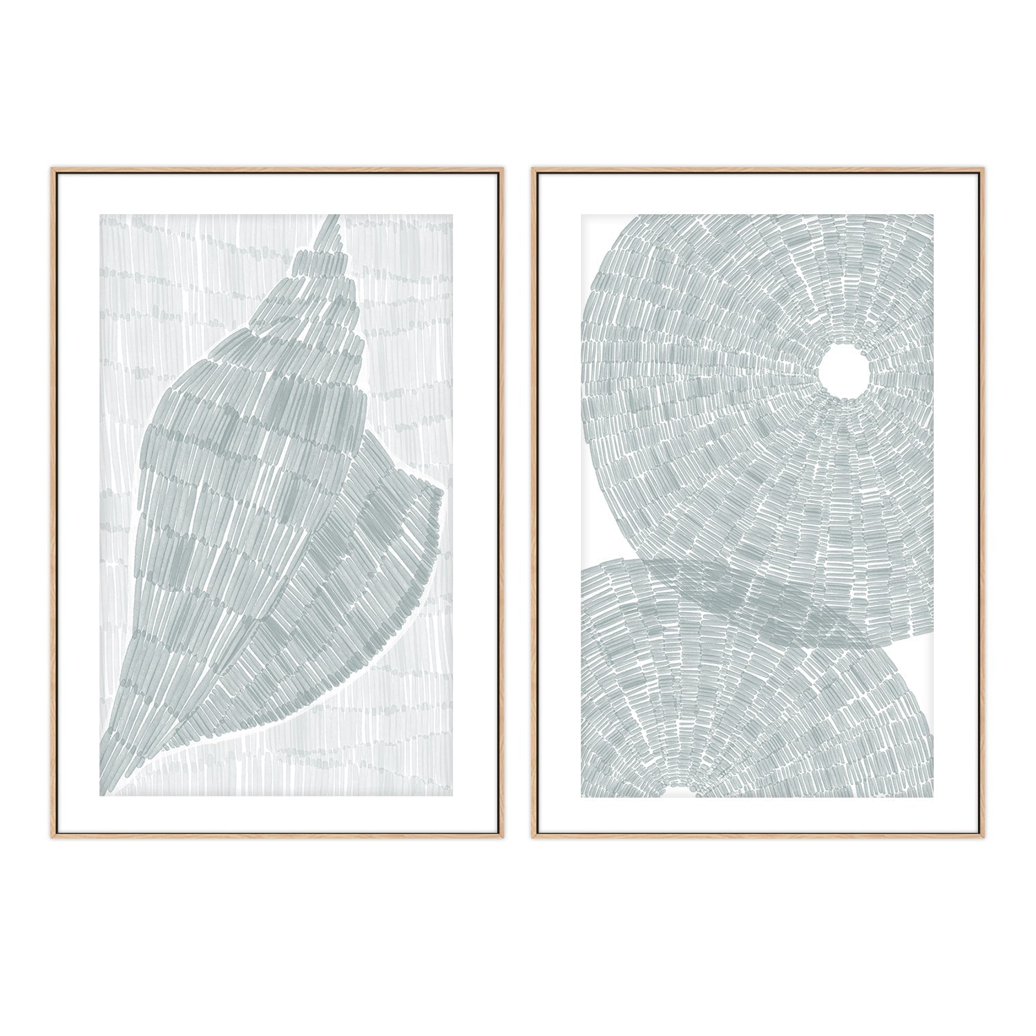 wall-art-print-canvas-poster-framed-Drifted Conch Shell-Salty Sea Urchin shell , Set Of 2, By Jetty Home , By Jetty Home-6