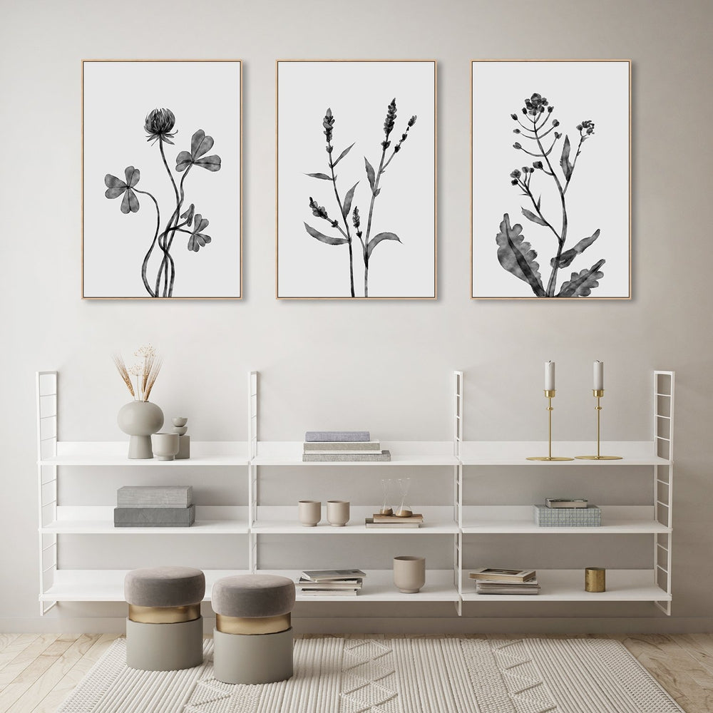 wall-art-print-canvas-poster-framed-Dutchclover, Orache And Shephards Purse , Set Of 3 , By Dan Hobday-by-Dan Hobday-Gioia Wall Art