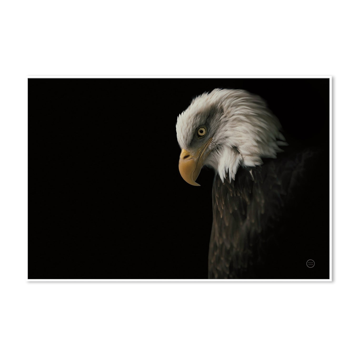 wall-art-print-canvas-poster-framed-Eagle Bow-5