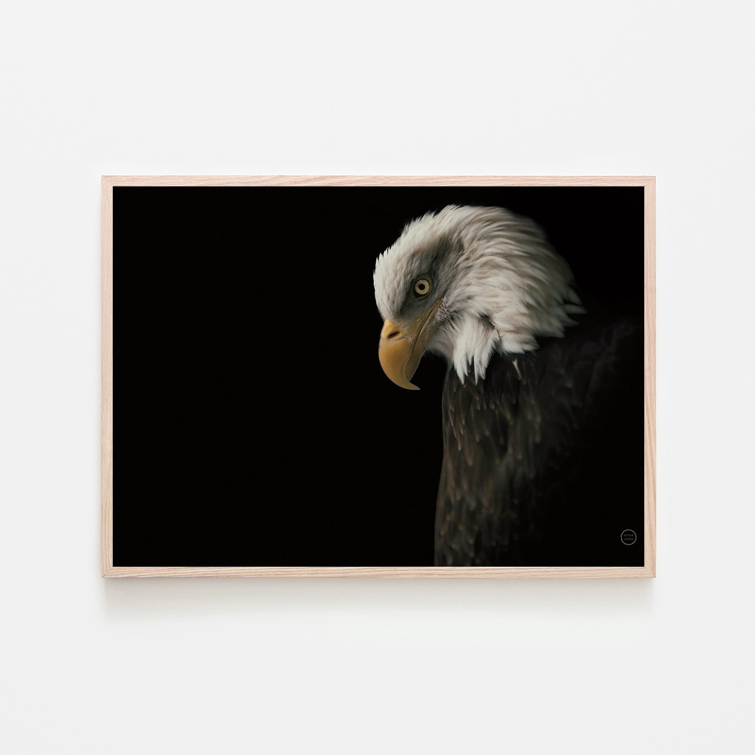 wall-art-print-canvas-poster-framed-Eagle Bow-6