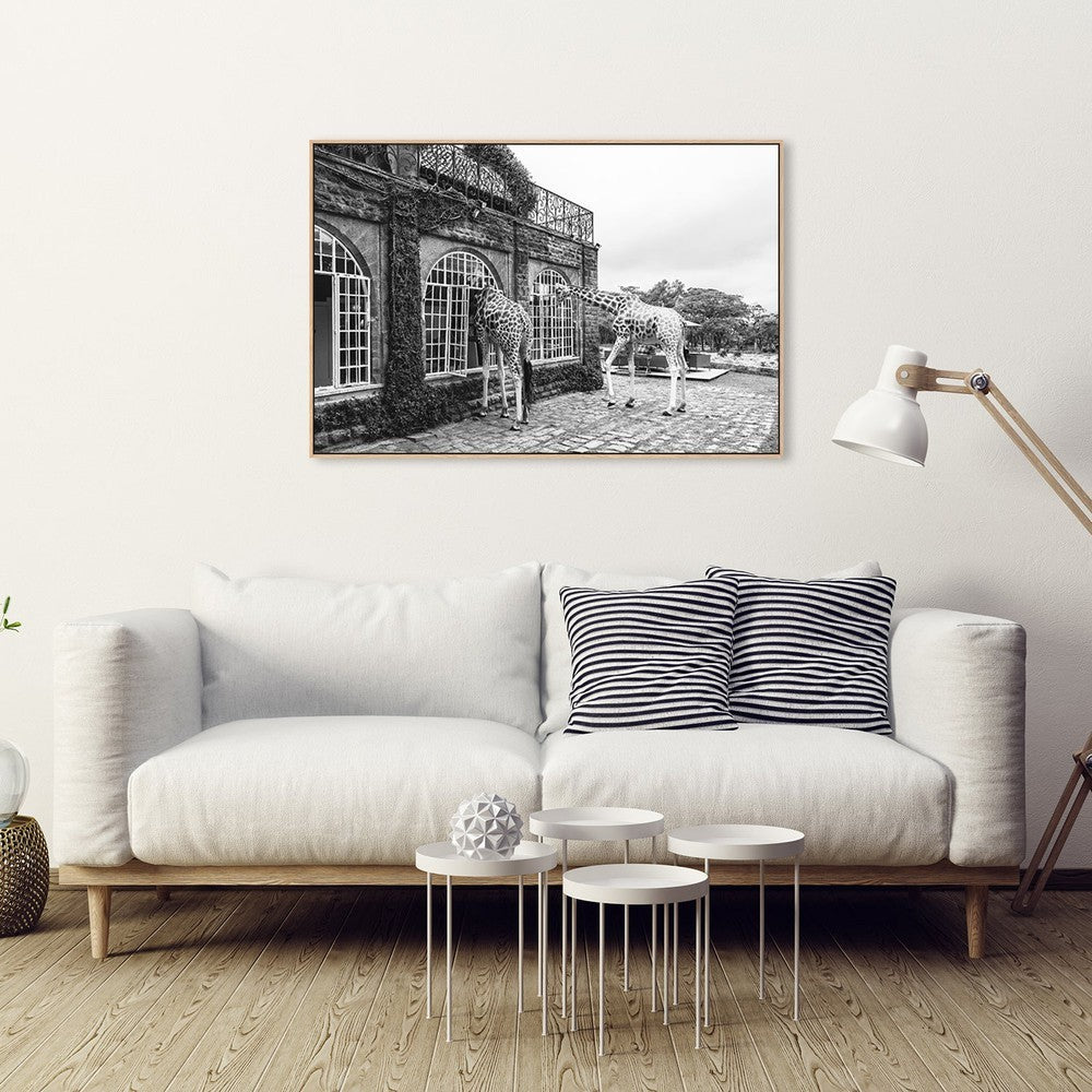 wall-art-print-canvas-poster-framed-Early Morning Visitors, By Jie Fischer-by-Plus X Studio-Gioia Wall Art