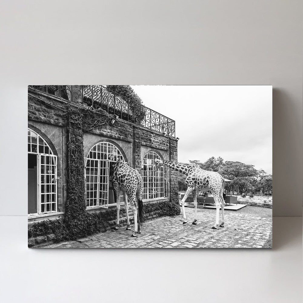 wall-art-print-canvas-poster-framed-Early Morning Visitors, By Jie Fischer-by-Plus X Studio-Gioia Wall Art