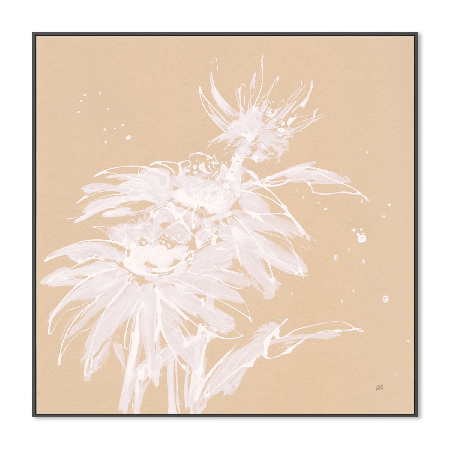 wall-art-print-canvas-poster-framed-Echinacea, Style A-by-Chris Paschke-Gioia Wall Art