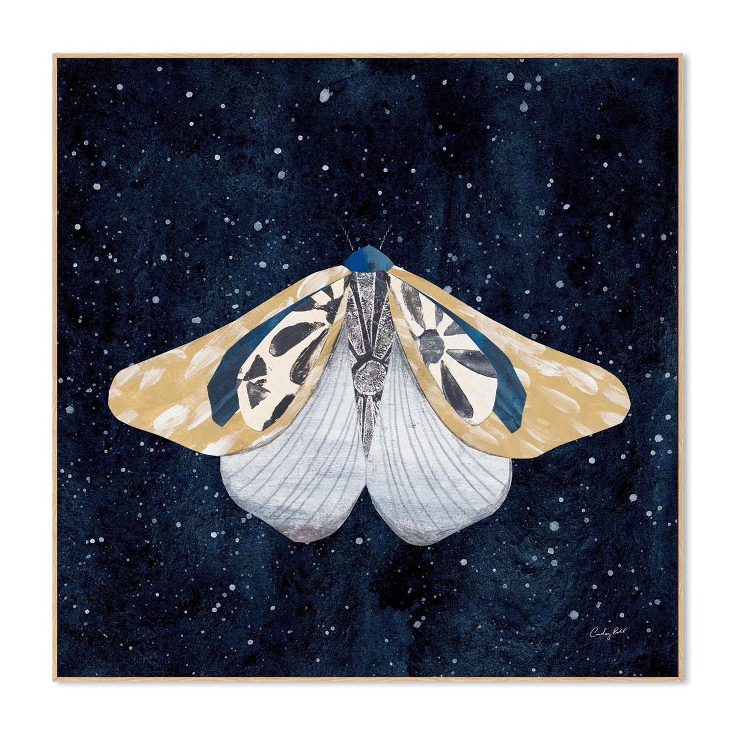 wall-art-print-canvas-poster-framed-Elegant Moth, Style B-4