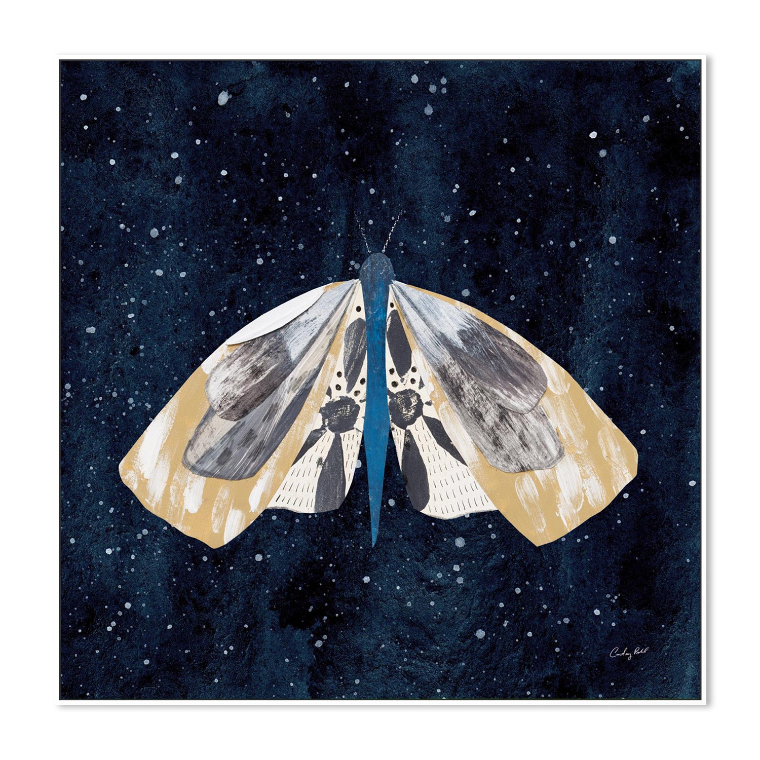 wall-art-print-canvas-poster-framed-Elegant Moth, Style C-5