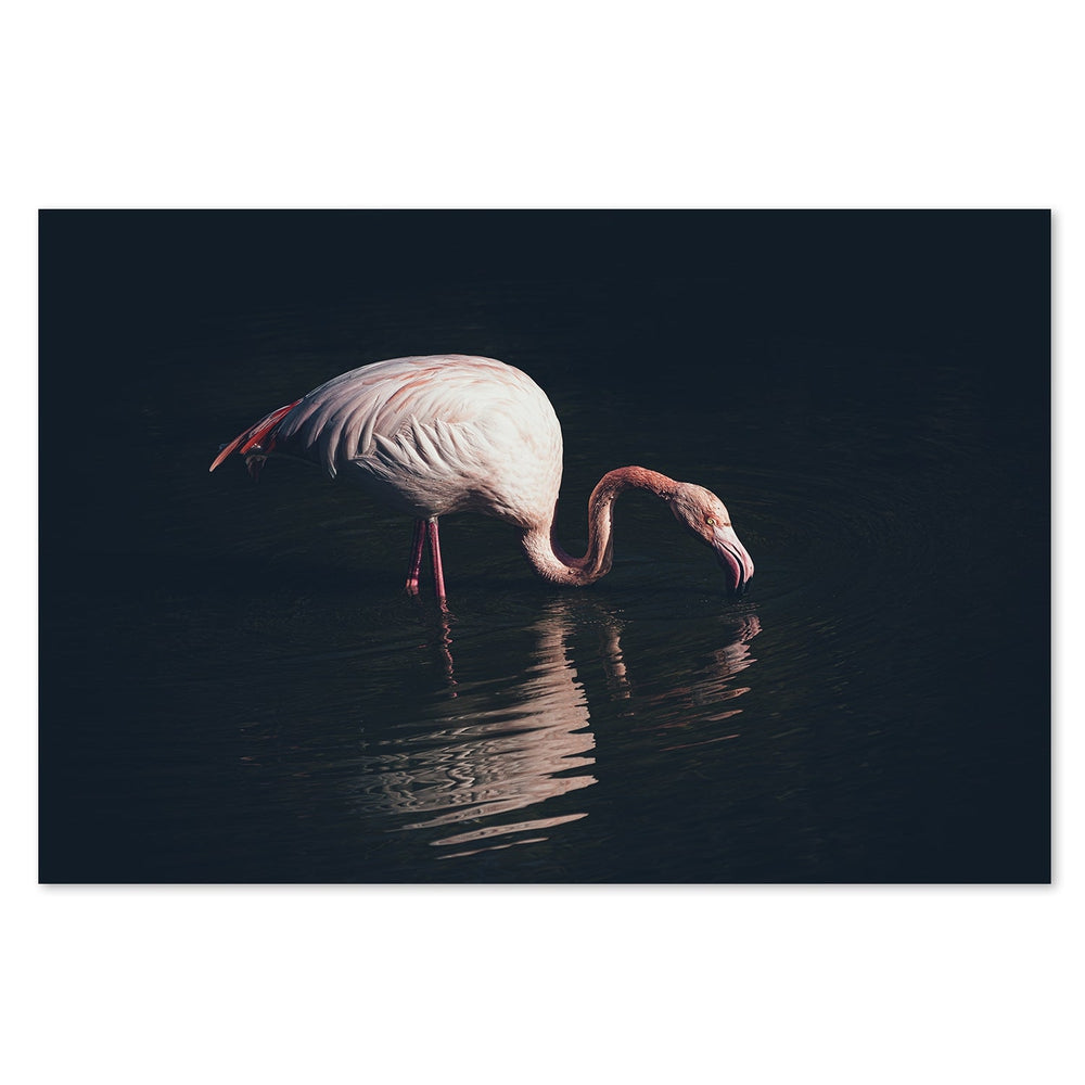 wall-art-print-canvas-poster-framed-Enlightened Flamingo, By Marco Tagliarino-by-Plus X Studio-Gioia Wall Art