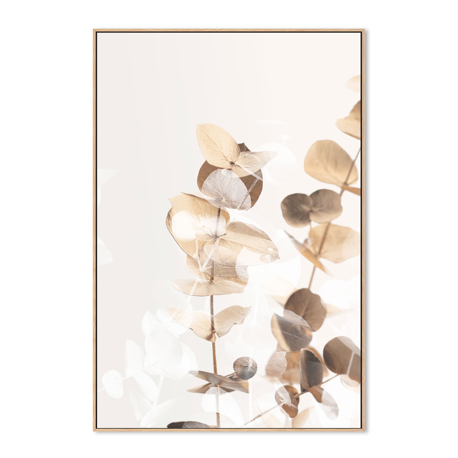 wall-art-print-canvas-poster-framed-Eucalyptus Creative Gold, Style A-by-Plus X Studio-Gioia Wall Art