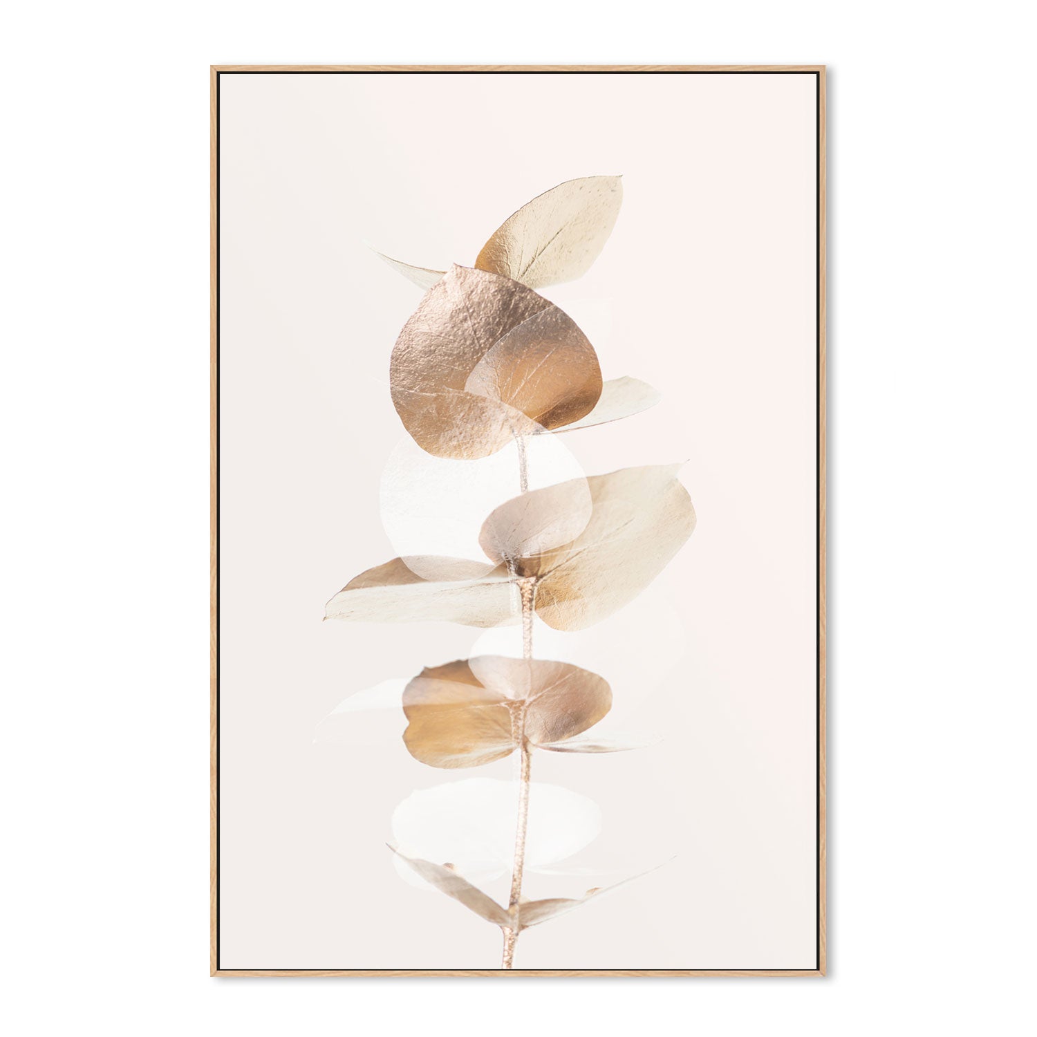 wall-art-print-canvas-poster-framed-Eucalyptus Creative Gold, Style B-by-Plus X Studio-Gioia Wall Art
