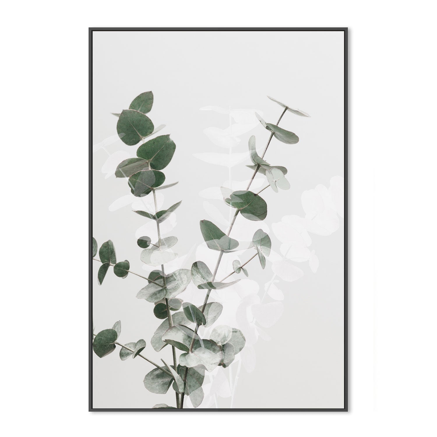 wall-art-print-canvas-poster-framed-Eucalyptus Creative, Style A-by-Plus X Studio-Gioia Wall Art