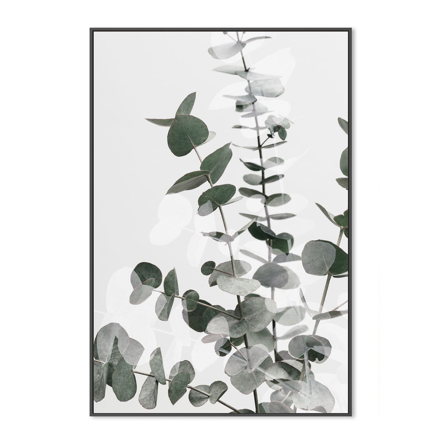 wall-art-print-canvas-poster-framed-Eucalyptus Creative, Style B-by-Plus X Studio-Gioia Wall Art
