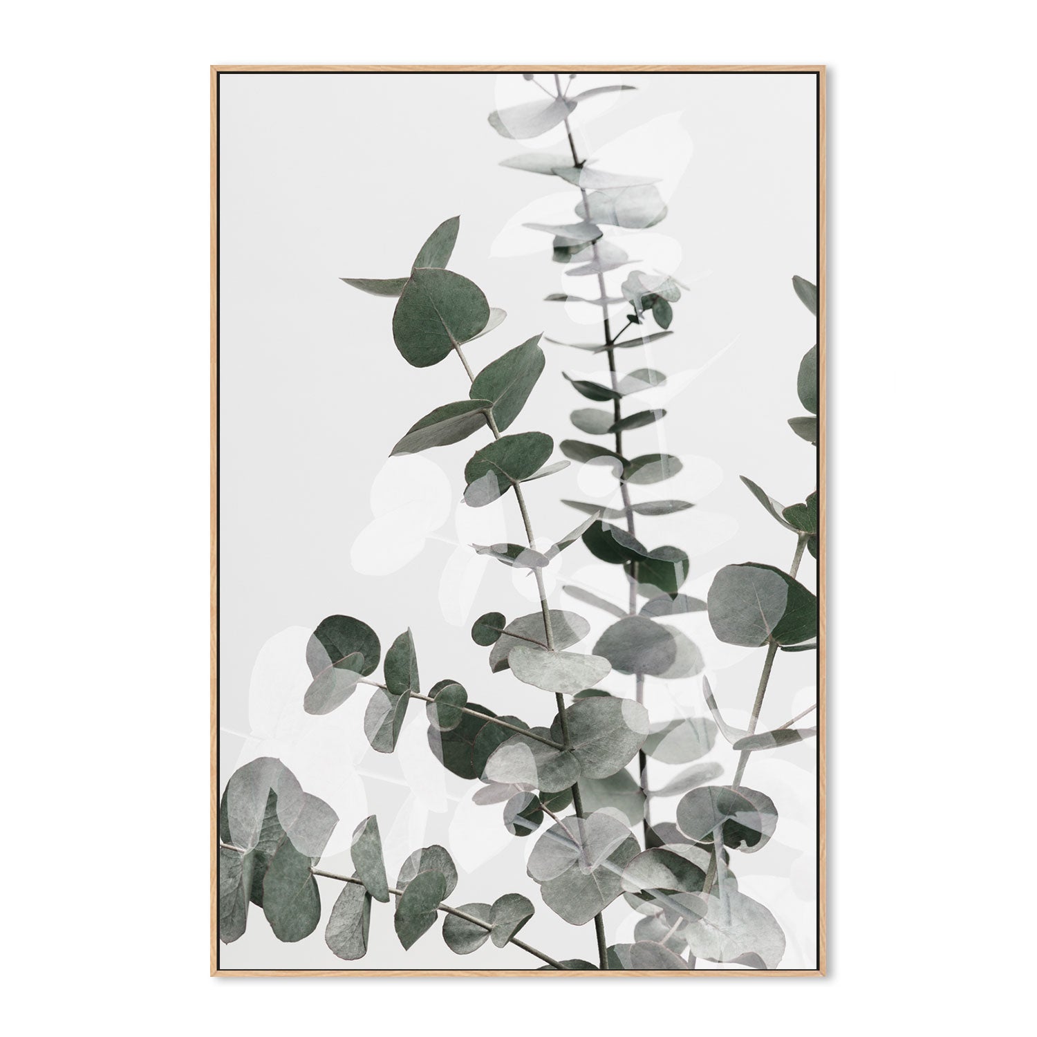 wall-art-print-canvas-poster-framed-Eucalyptus Creative, Style B-by-Plus X Studio-Gioia Wall Art