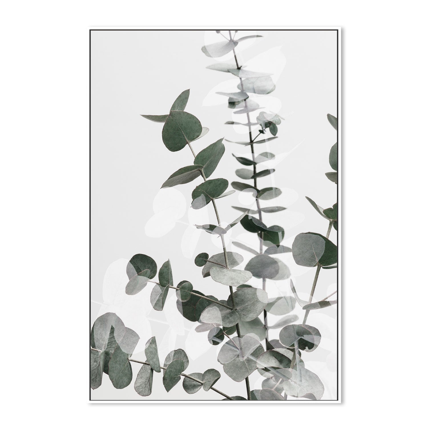 wall-art-print-canvas-poster-framed-Eucalyptus Creative, Style B-by-Plus X Studio-Gioia Wall Art