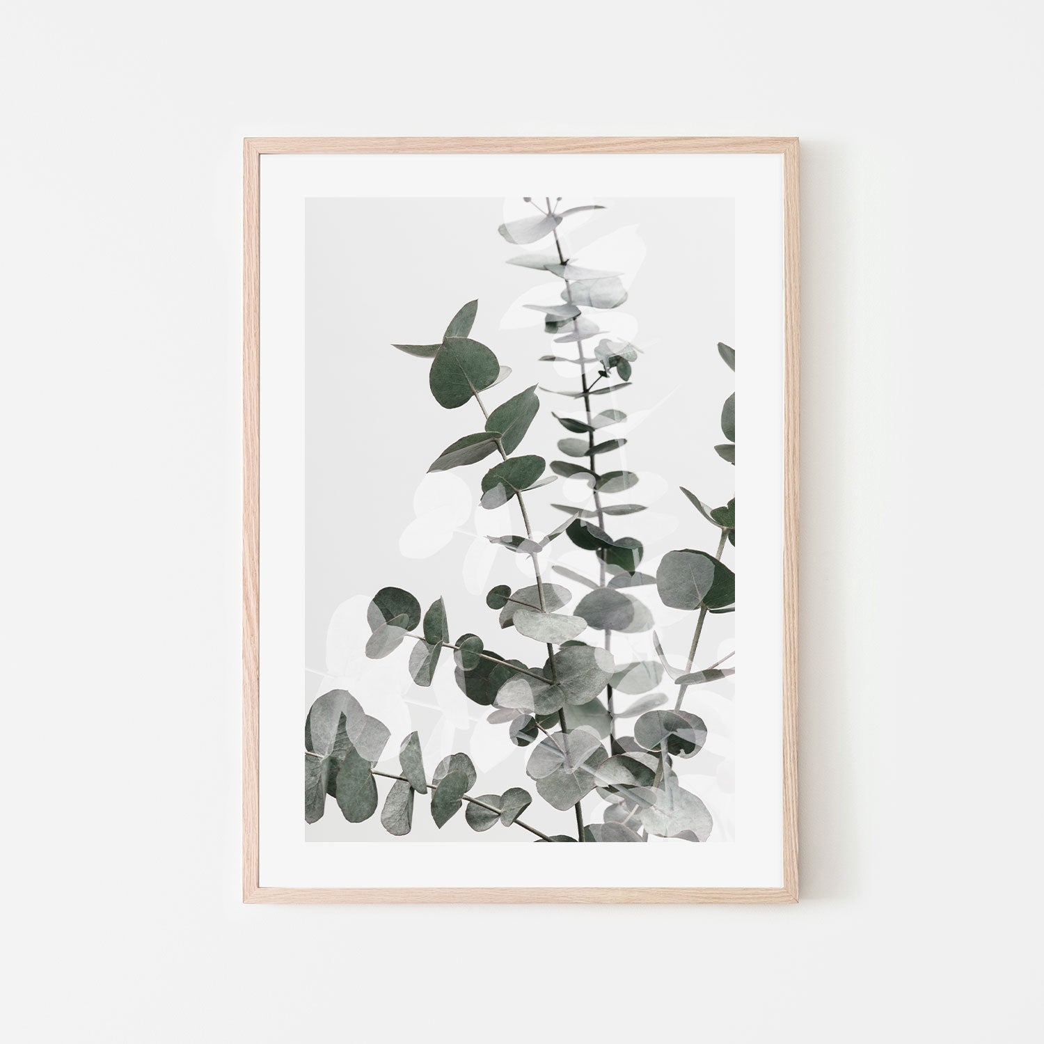 wall-art-print-canvas-poster-framed-Eucalyptus Creative, Style B-by-Plus X Studio-Gioia Wall Art