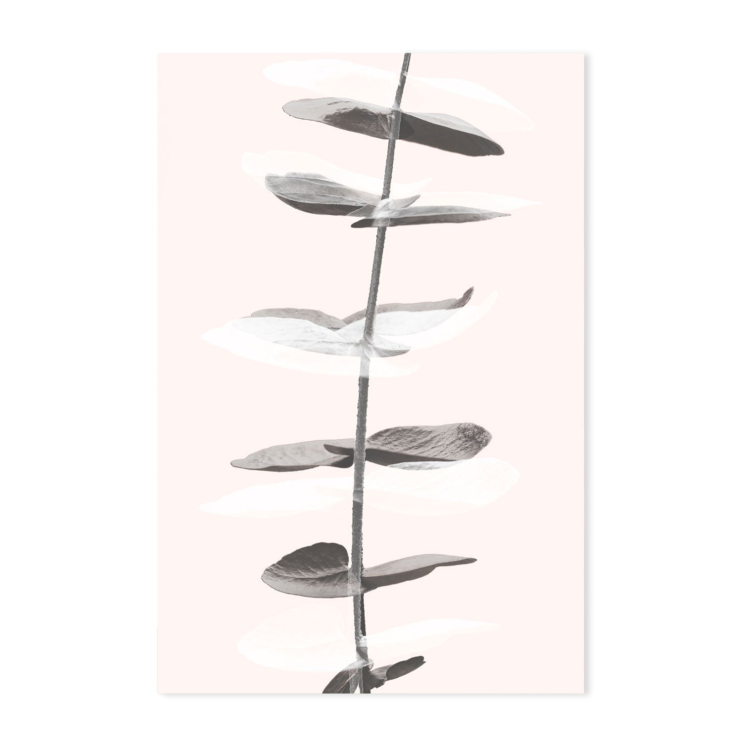 wall-art-print-canvas-poster-framed-Eucalyptus Creative, Style C-by-Plus X Studio-Gioia Wall Art