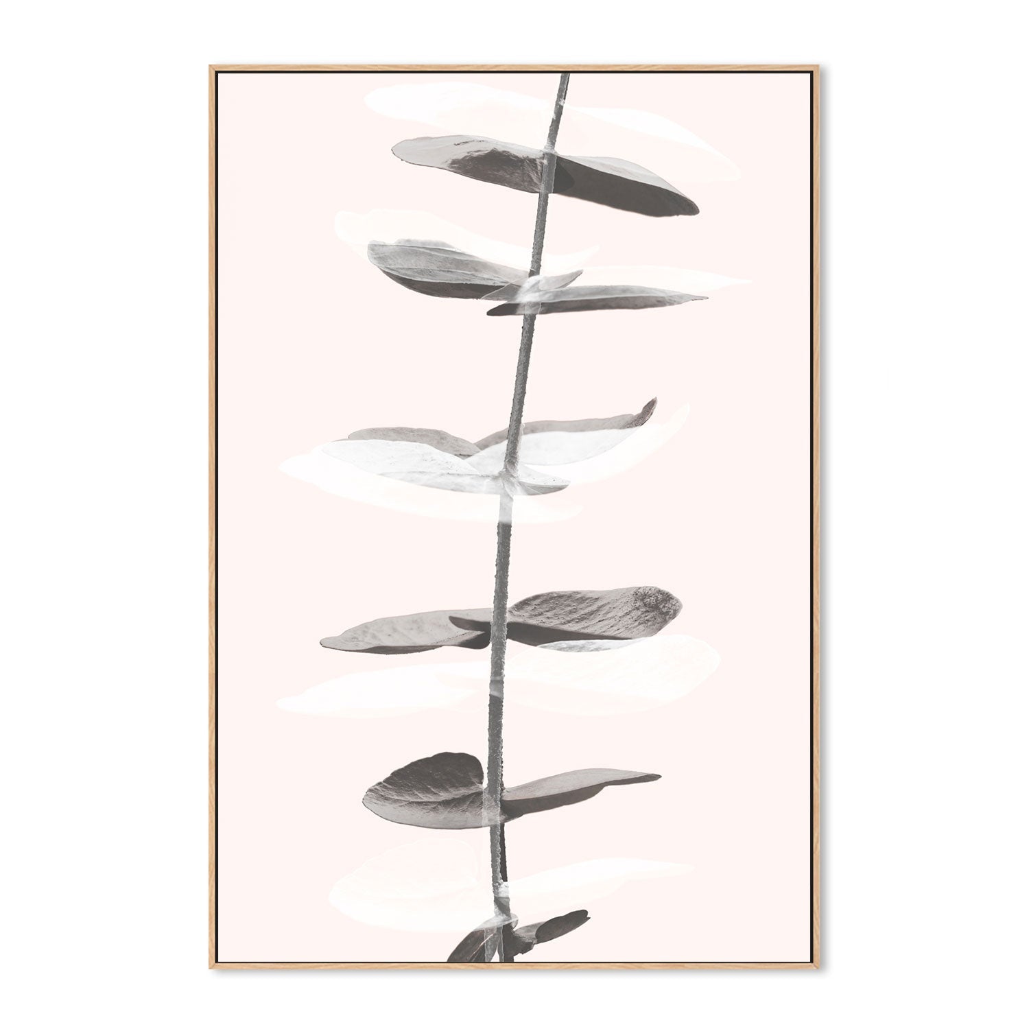 wall-art-print-canvas-poster-framed-Eucalyptus Creative, Style C-by-Plus X Studio-Gioia Wall Art