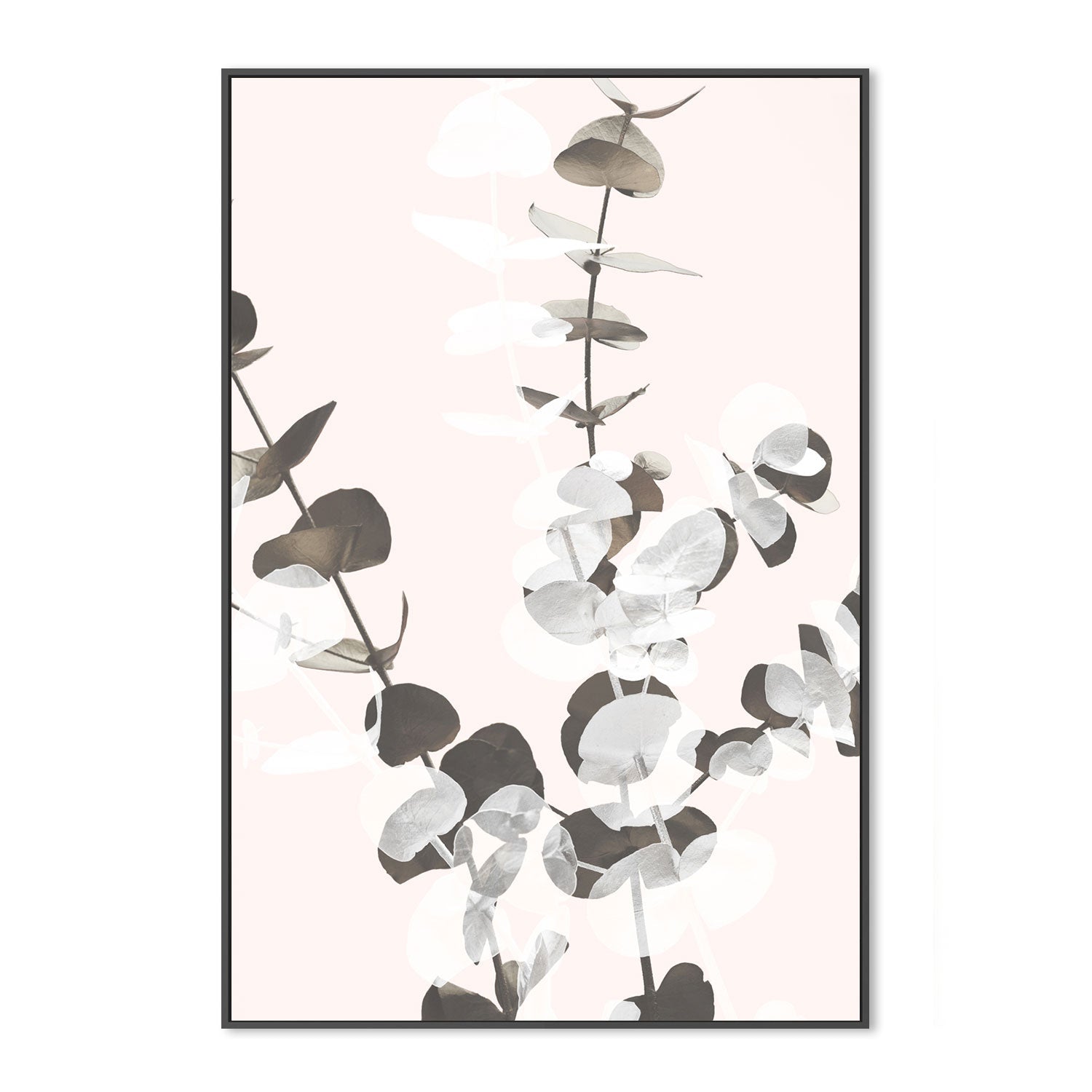 wall-art-print-canvas-poster-framed-Eucalyptus Creative, Style D-by-Plus X Studio-Gioia Wall Art