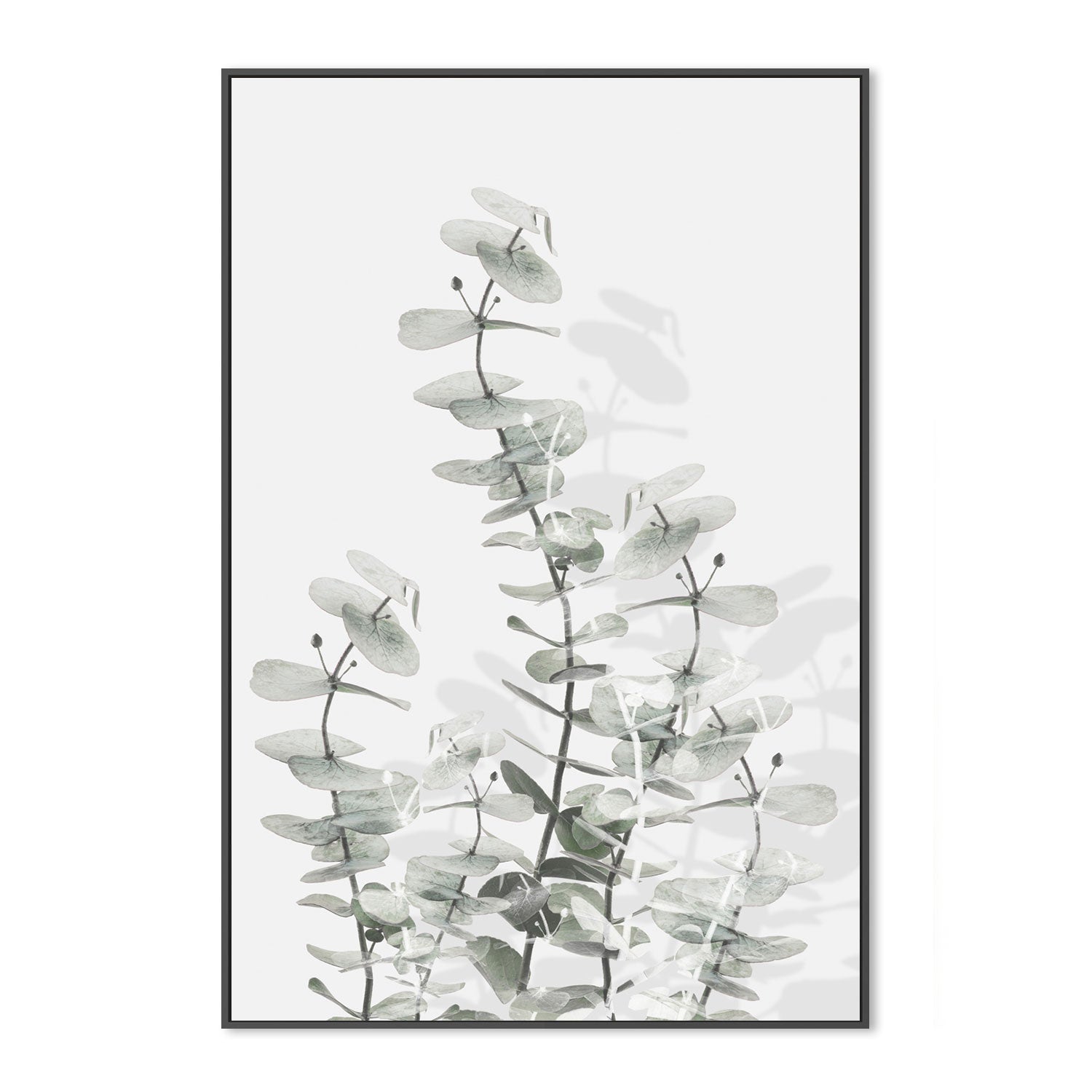 wall-art-print-canvas-poster-framed-Eucalyptus Creative, Style E-by-Plus X Studio-Gioia Wall Art