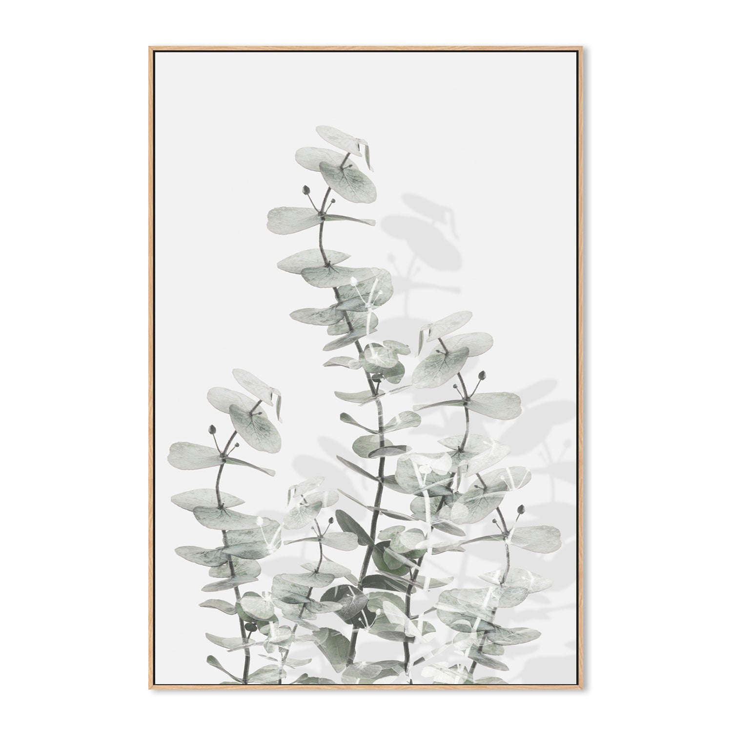 wall-art-print-canvas-poster-framed-Eucalyptus Creative, Style E-by-Plus X Studio-Gioia Wall Art