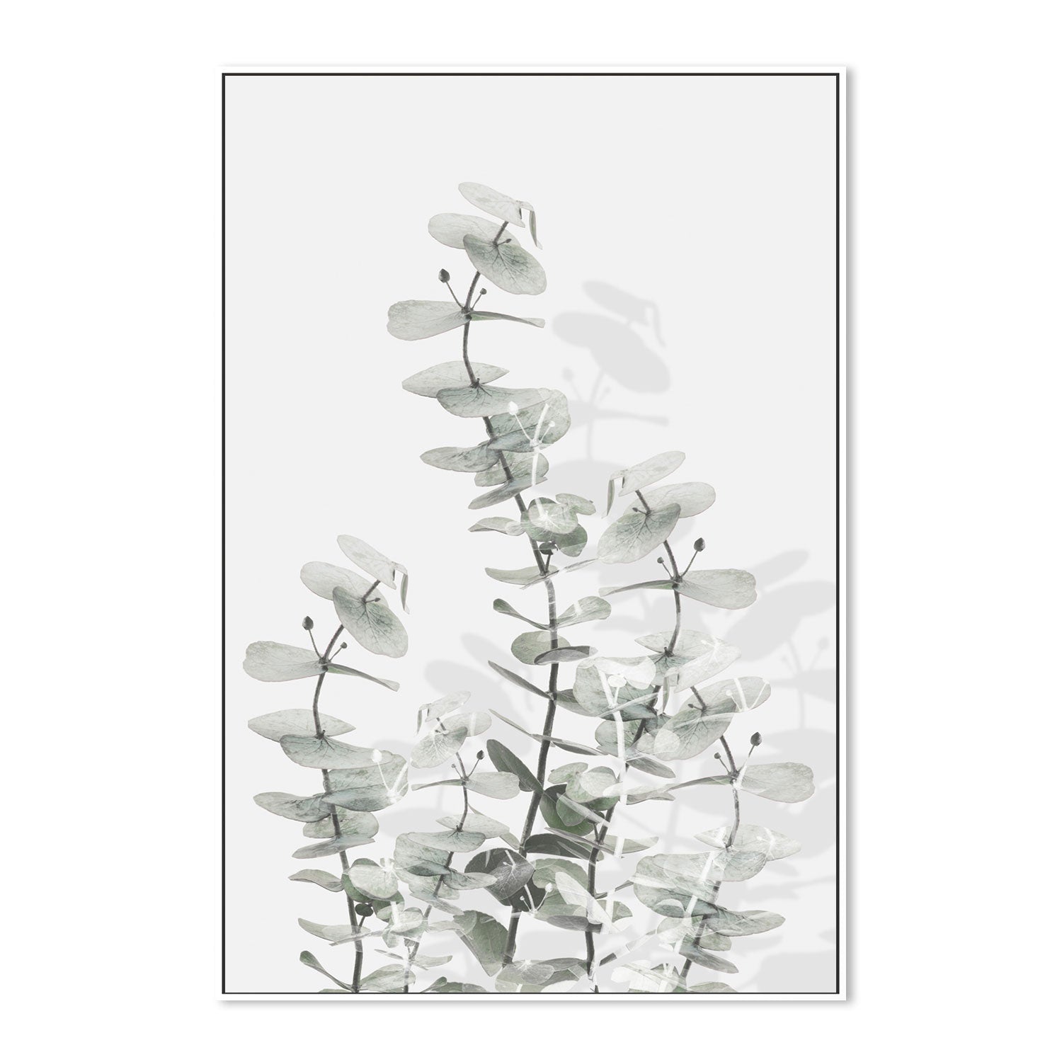 wall-art-print-canvas-poster-framed-Eucalyptus Creative, Style E-by-Plus X Studio-Gioia Wall Art