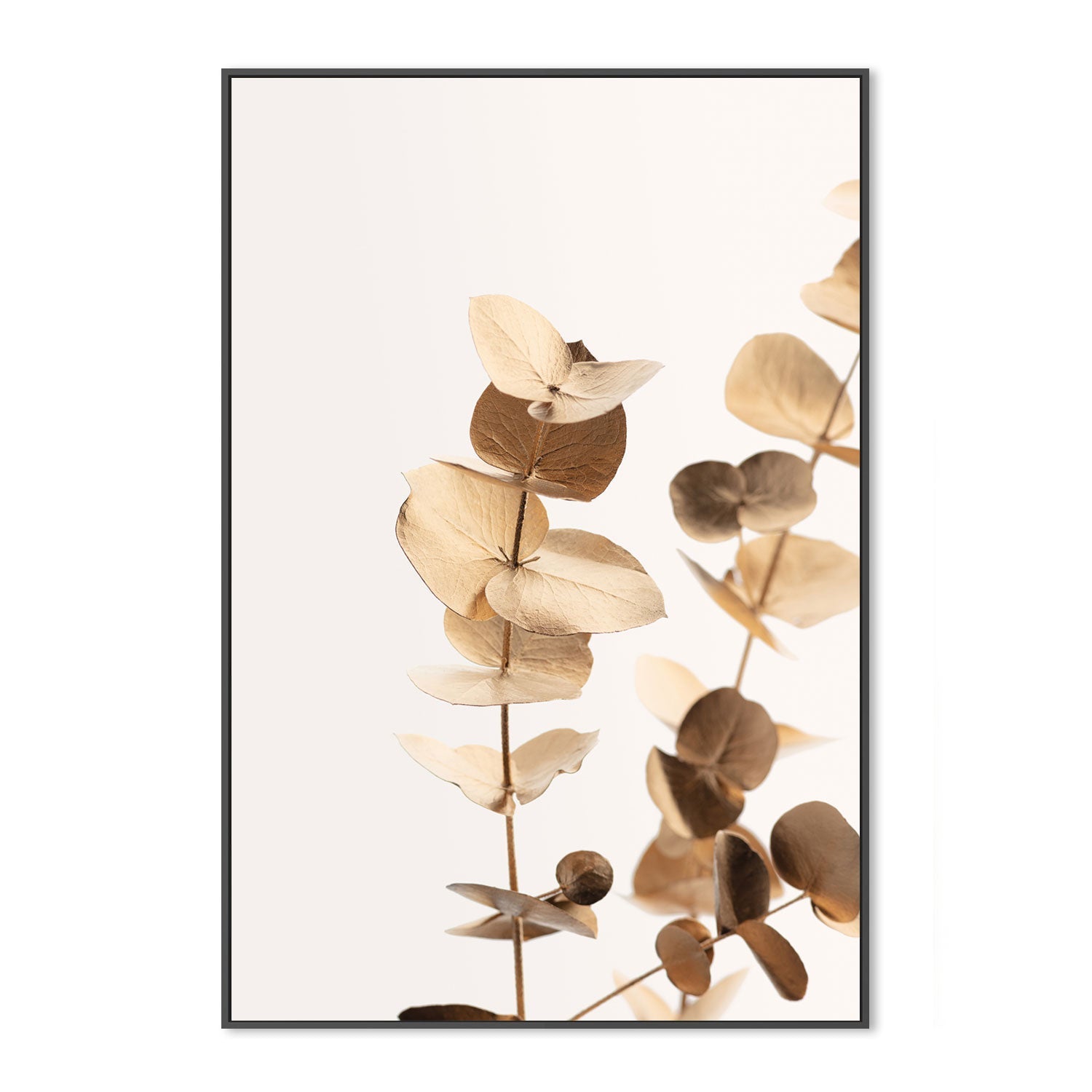 wall-art-print-canvas-poster-framed-Eucalyptus Gold, Style A-by-Plus X Studio-Gioia Wall Art