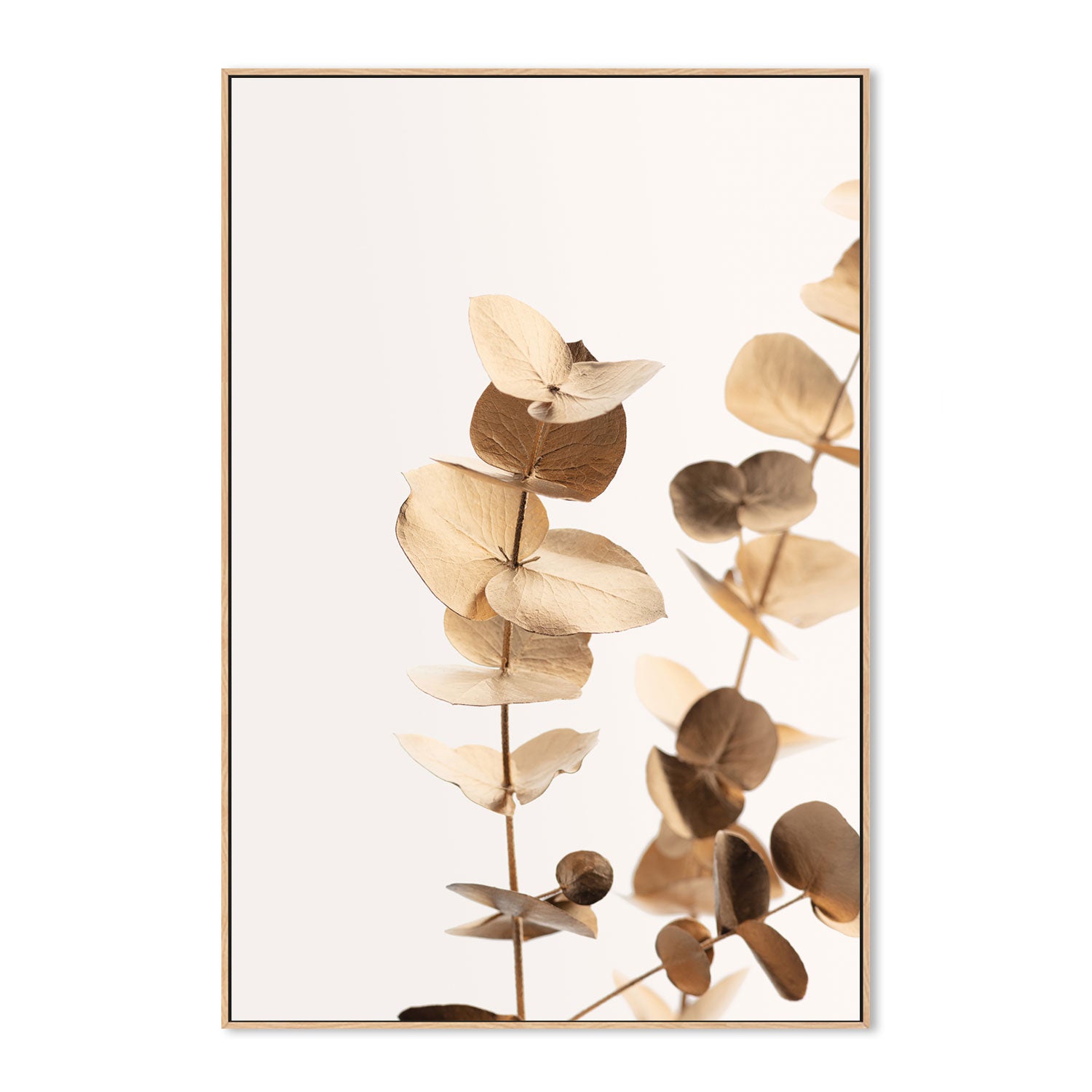 wall-art-print-canvas-poster-framed-Eucalyptus Gold, Style A-by-Plus X Studio-Gioia Wall Art