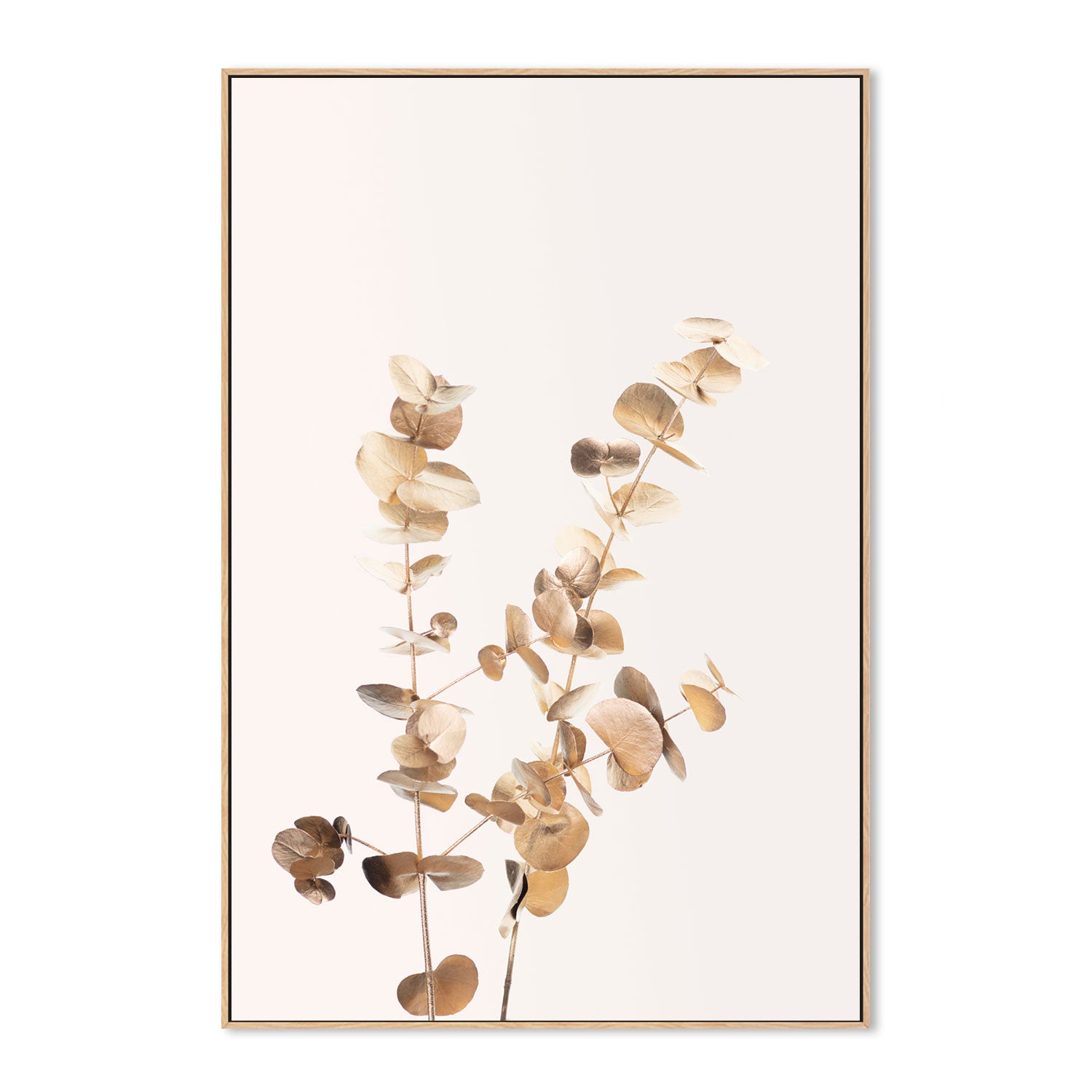 wall-art-print-canvas-poster-framed-Eucalyptus Gold, Style B-by-Plus X Studio-Gioia Wall Art